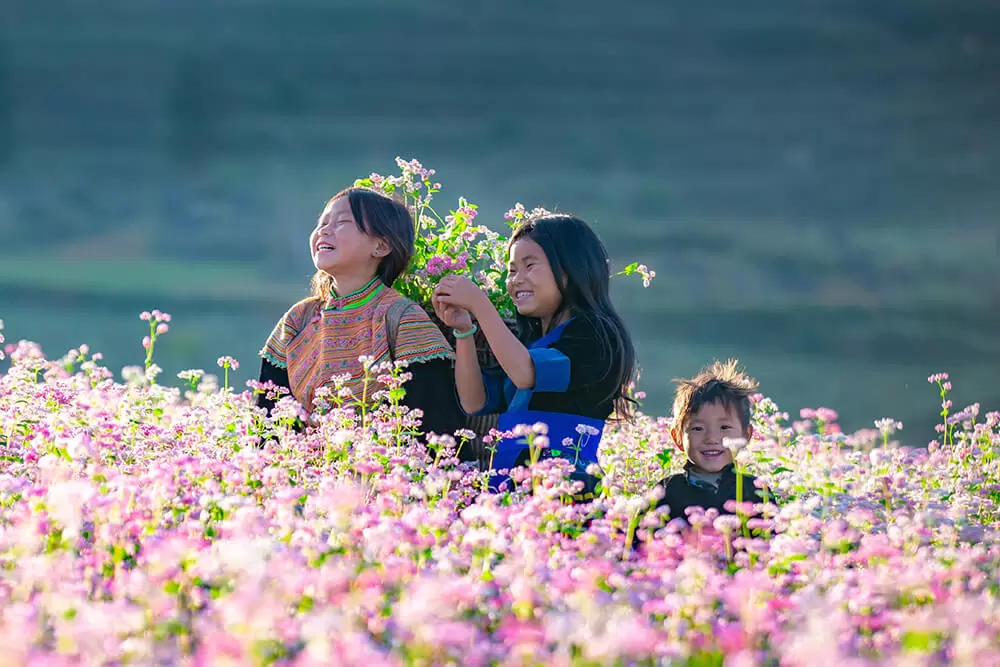 VNMEDIA 2020 TRAVEL<br>CUNG CẤP TOUR DU LỊCH